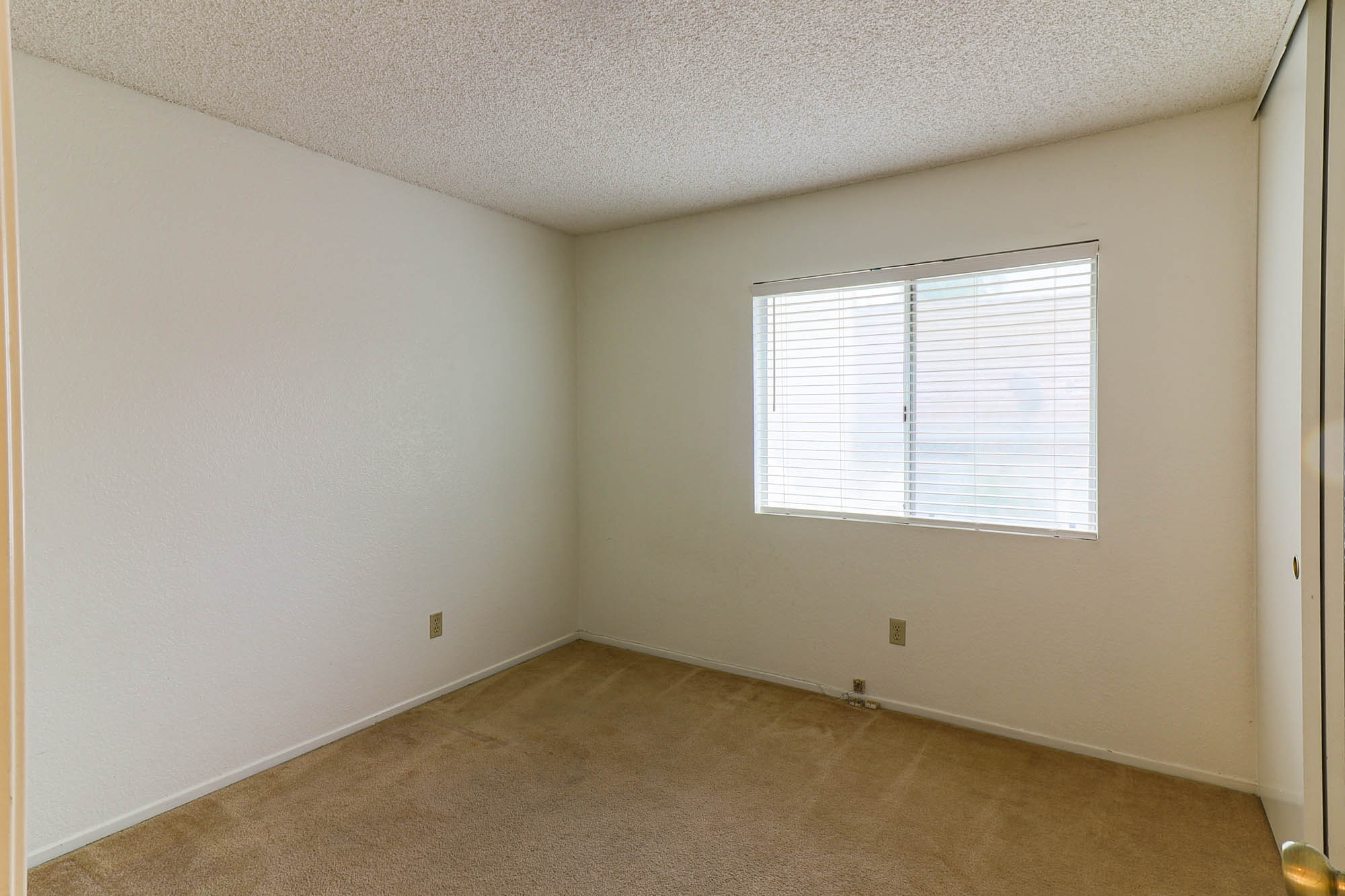 Brittlebush bedroom 2 photo