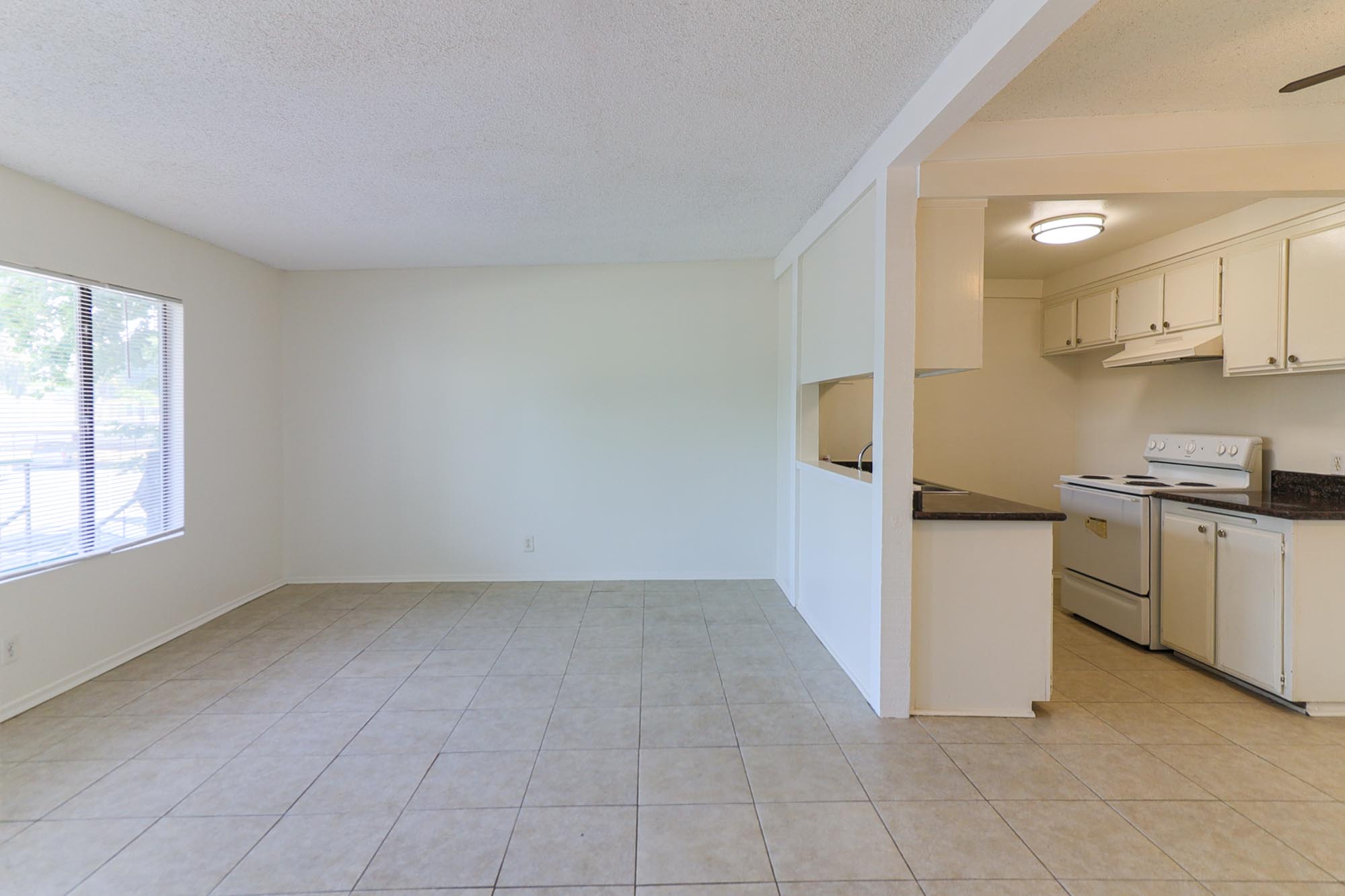 Washington main living space and kitchen photo