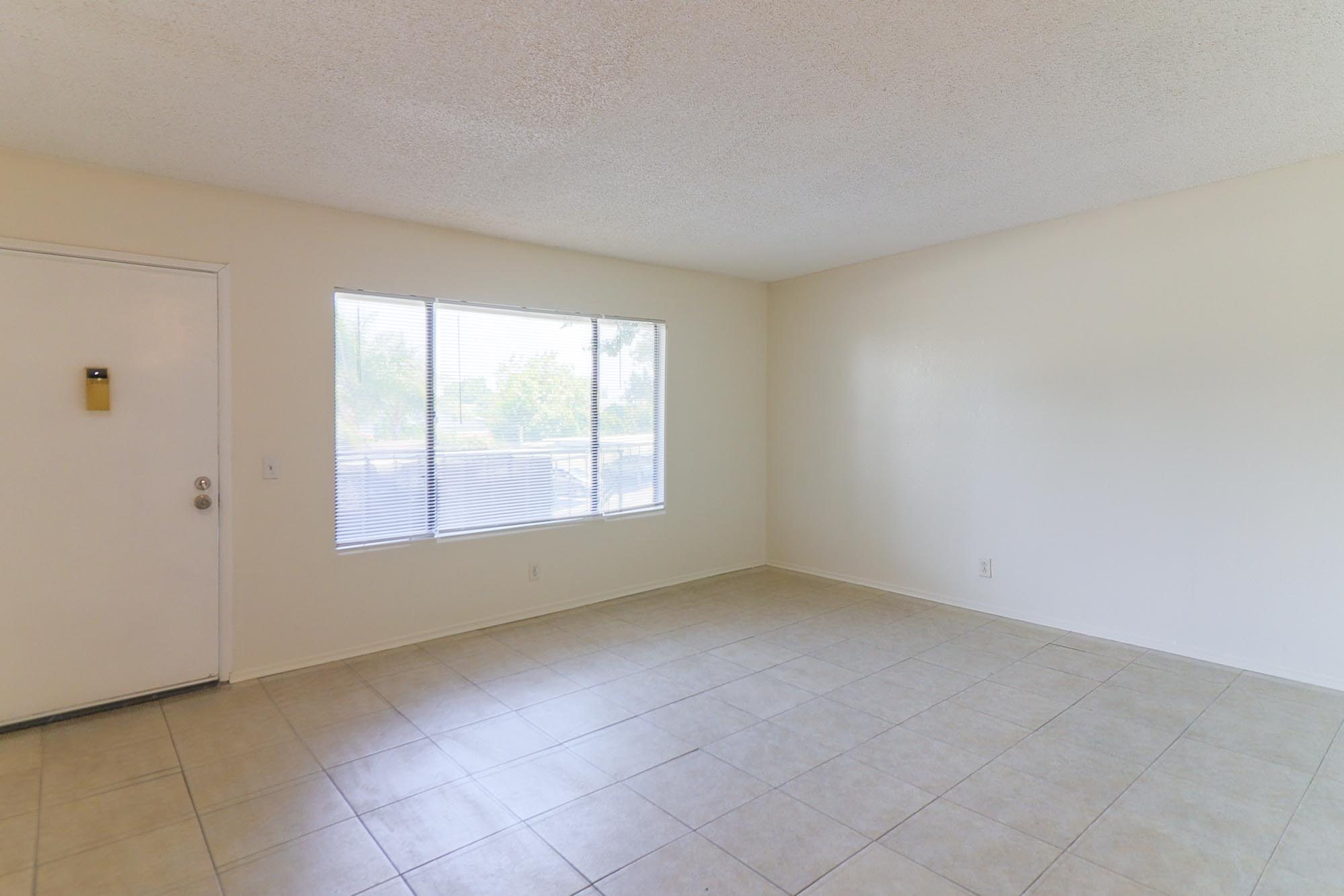 Washington main living space photo