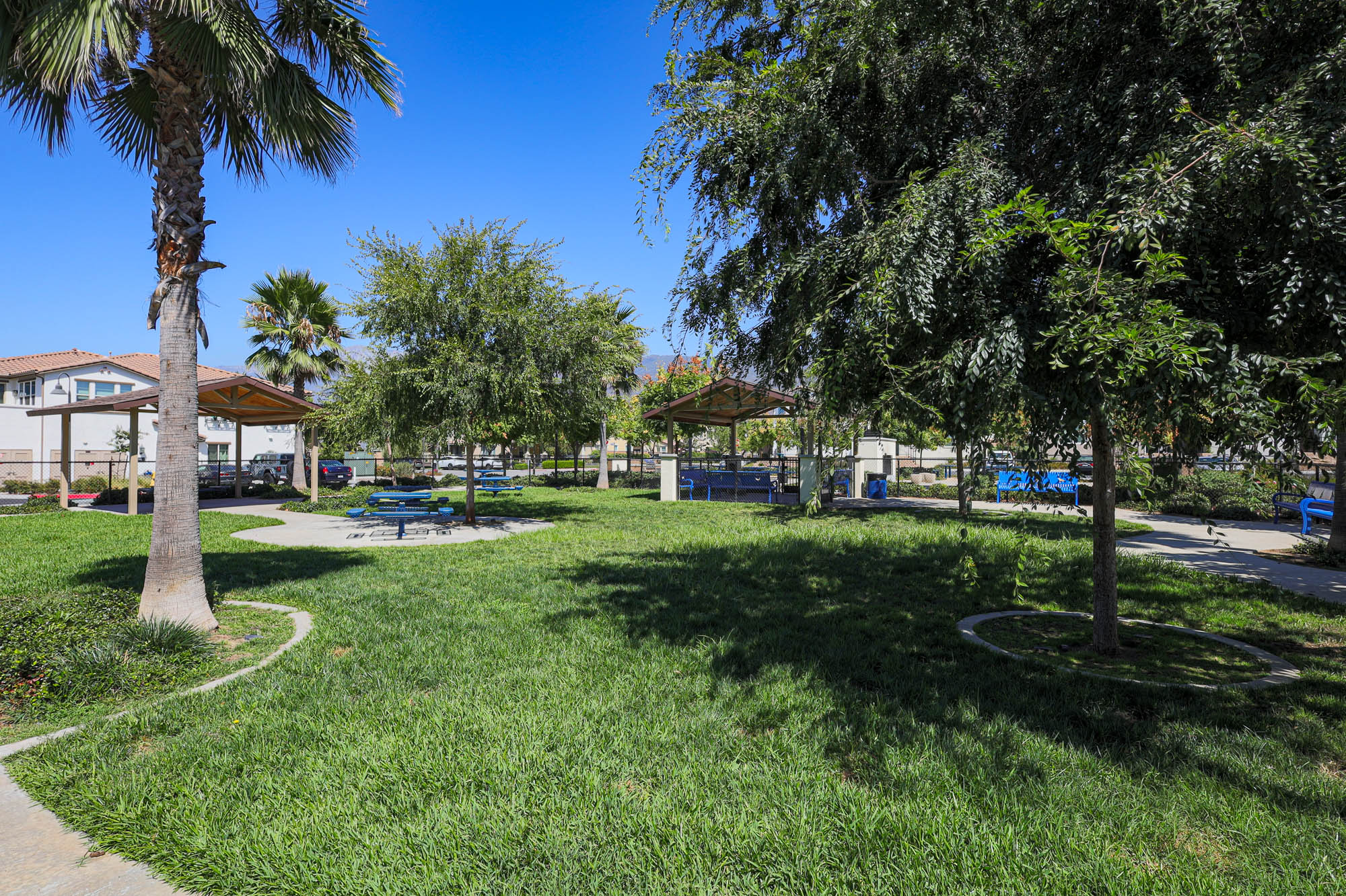 Kate Way dog park photo