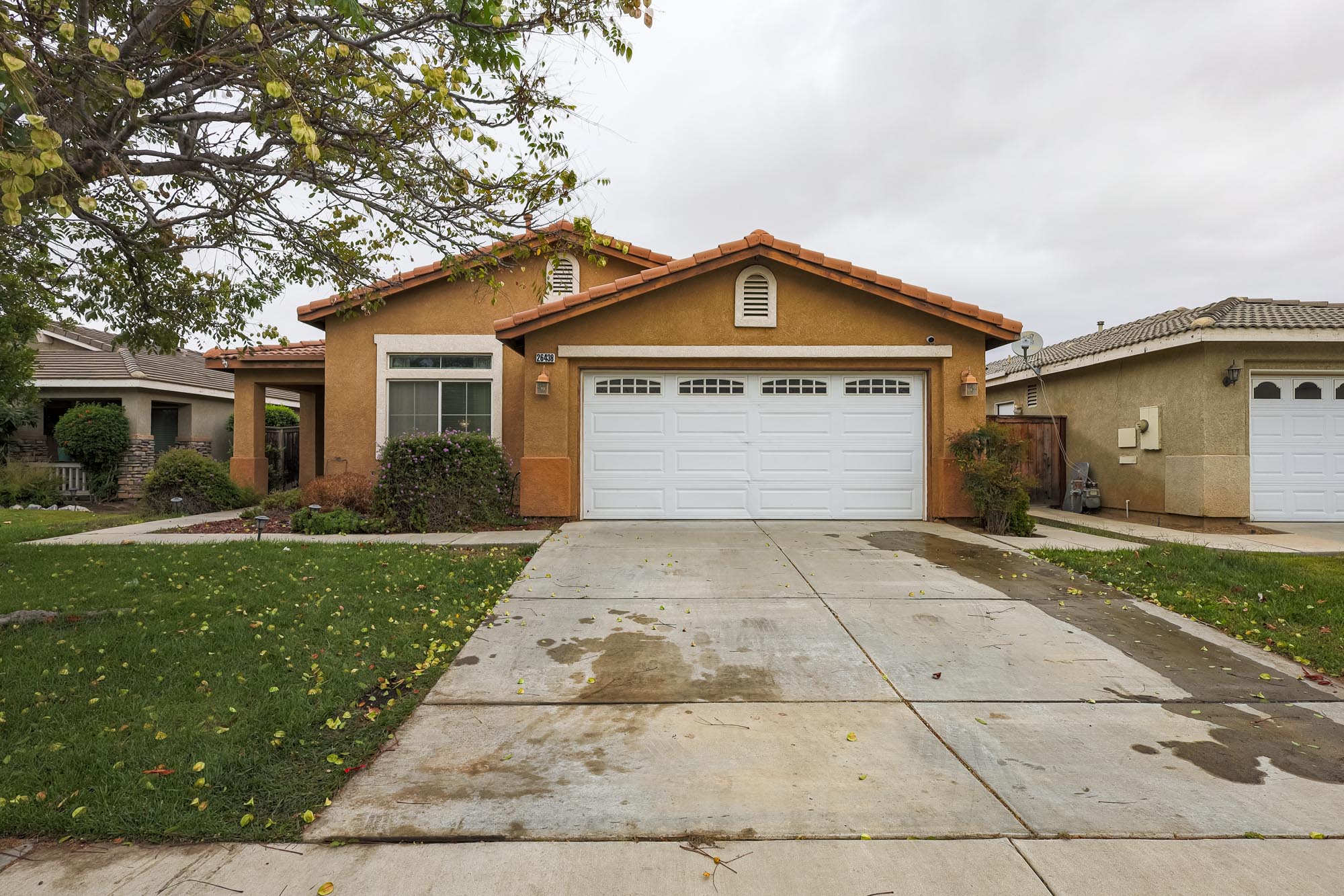 Thoroughbred front of home photo